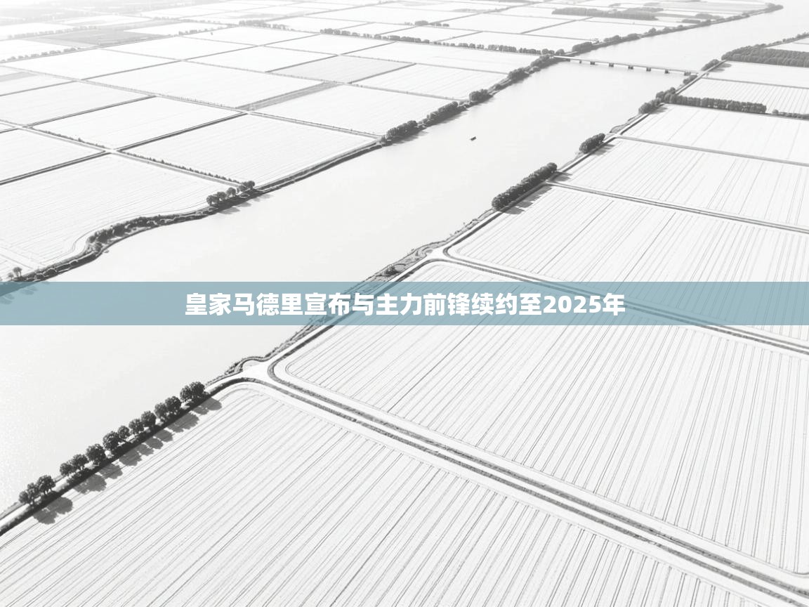 鲸蓝体育app下载-皇家马德里宣布与主力前锋续约至2025年 第3张